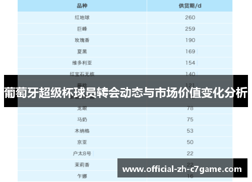 葡萄牙超级杯球员转会动态与市场价值变化分析